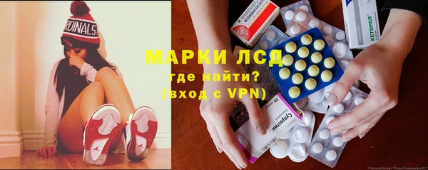 шишки Аркадак