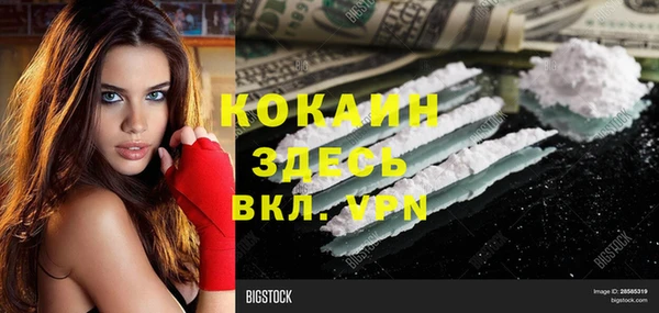сатива Арсеньев