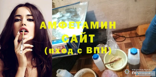 шишки Аркадак