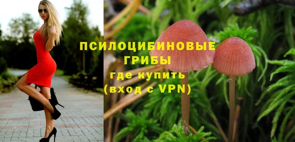 шишки Аркадак