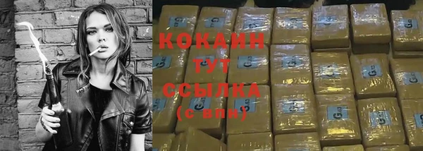 сатива Арсеньев