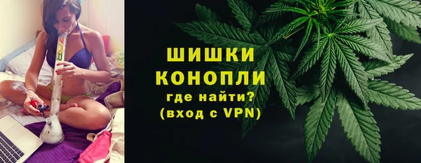 шишки Аркадак