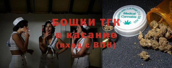 сатива Арсеньев