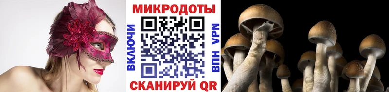 Галлюциногенные грибы прущие грибы  Купить где  Грязи 